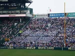 P1090073.jpg