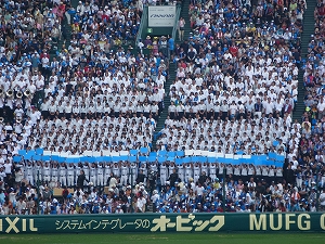 P1090078.jpg