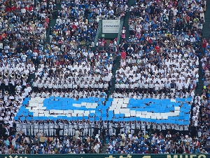 P1090082.jpg