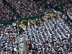 P1090206.jpg