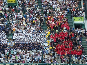 P1090296.jpg