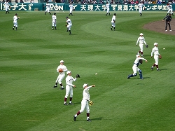P1110642.jpg