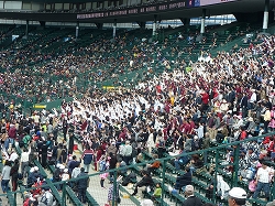 P1110675.jpg