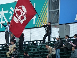 P1110678.jpg