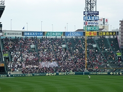 P1110693.jpg