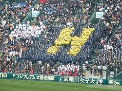 P1110730.jpg