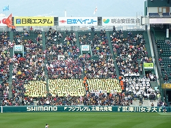 P1110744.jpg