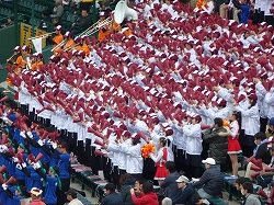 P1100934.jpg