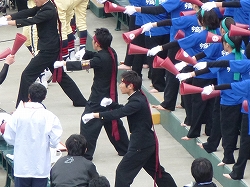 P1100939.jpg