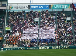 P1110058.jpg