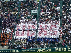 P1110120.jpg