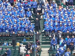 P1110205.jpg