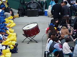 P1110241.jpg