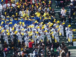 P1110245.jpg