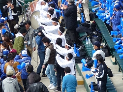 P1110251.jpg