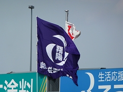 P1110259.jpg
