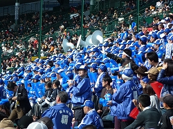 P1110260.jpg