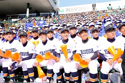 yasuda3015.jpg