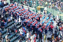 yasuda3060.jpg