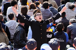 yasuda3080.jpg
