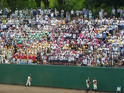 P1120801.jpg