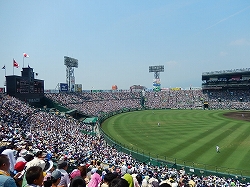 DSCN0802.jpg