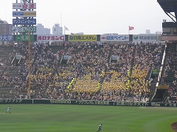 RIMG0078.jpg