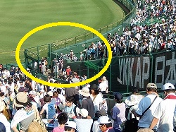 DSCN1082.jpg