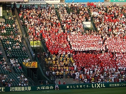 DSCN1146.jpg