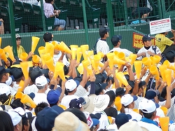 DSCN1152.jpg