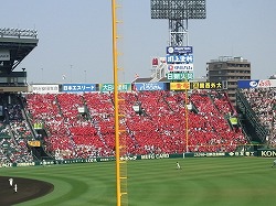 744.jpg
