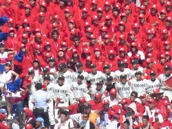750.jpg