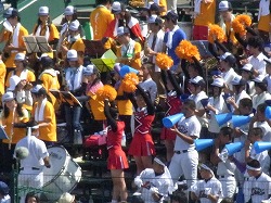 798.jpg