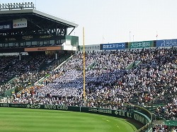 799.jpg