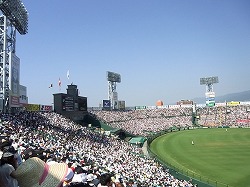 800.jpg