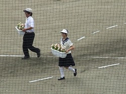 131.jpg