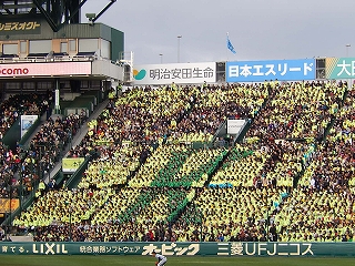 DSCN3233.jpg