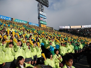 DSCN3241.jpg