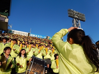 DSCN3244.jpg