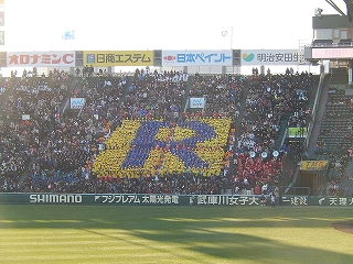 DSCN3247.jpg