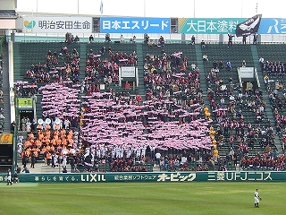 DSCN3272.jpg