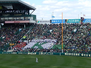 DSCN3354.jpg