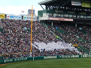 DSCN3355.jpg