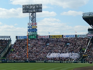 DSCN3393.jpg