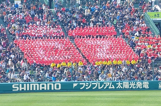 chinzei0065.jpg