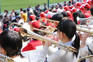 chinzei0094.jpg