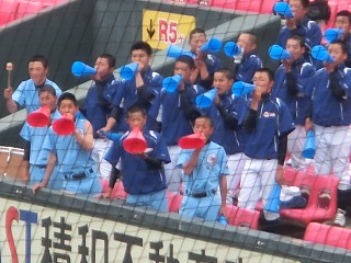 CIMG1293.jpg