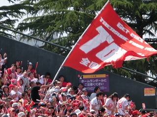 CIMG1663.jpg