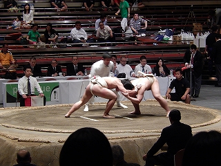 DSCN4434.jpg