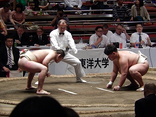 DSCN4466.jpg